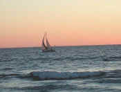 SailAtSunset.jpg (11741 bytes)